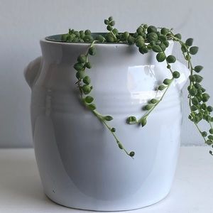 White Boho Vintage Planter Pot Indoor Planter Pot